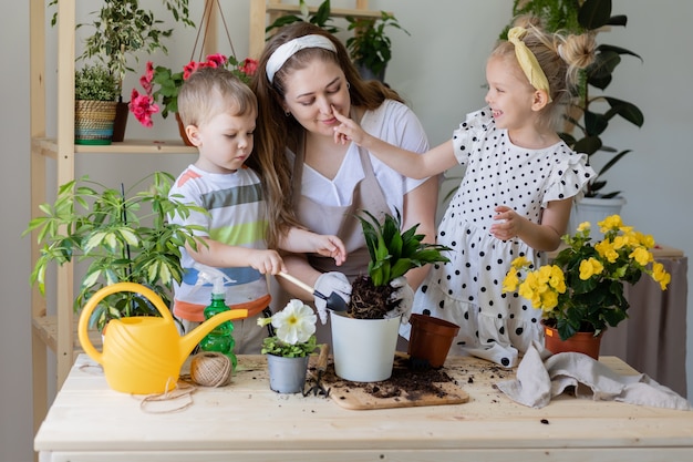 Mère avec son fils et sa fille dans une plante à jeun ou transplanter des fleurs d'intérieur jardinage à la maison