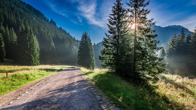 Merveilleuse aube dans les montagnes de la vallée de Chocholowska Tatra en Pologne