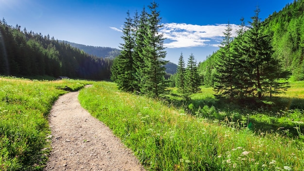 Merveilleuse vallée dans les Tatras au coucher du soleil Pologne Europe