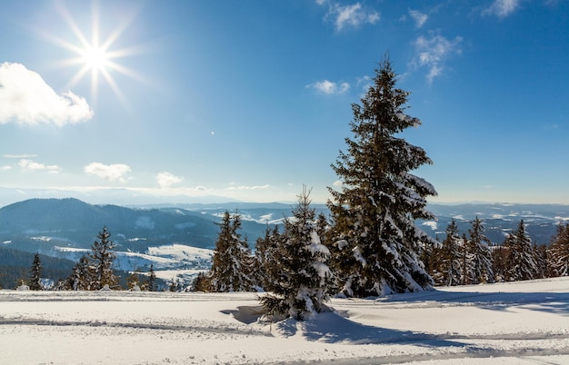 Merveilleusement majestueux paysage d'hiver rougeoyant par la lumière du soleil scène hivernale Carpates Ukraine Europe Beauté monde Bonne Année