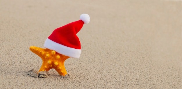 Merveilleux Noël sur la plage, étoile de mer dans un chapeau de Noël