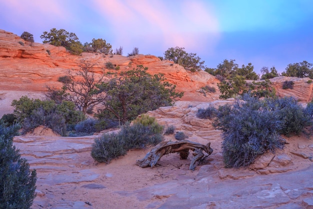 Mesa Arch au lever du soleil en hiver, Canyonlands NP, USA