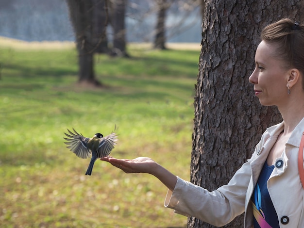 Mésange sur une main de femme dans le parc. Fermer.