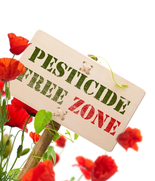 Message de zone exempte de pesticides sur un panneau en bois, une plante verte et des coquelicots - l'image est isolée sur fond blanc