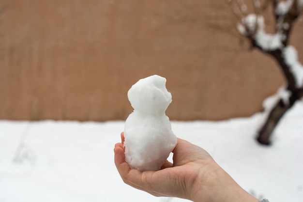 Photo mettre de la neige à l'arrière-plan hivernal