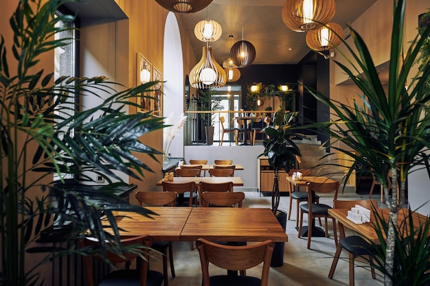 Meubles en bois et plantes en pot par mur avec photo au café