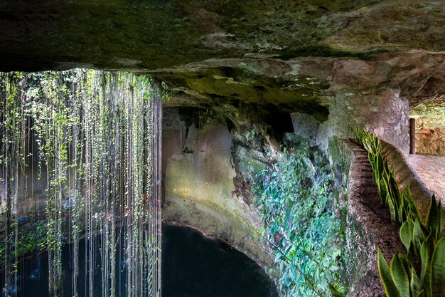 Mexique Ik Kil Cenote au centre nord de la péninsule du Yucatan près de Cancun et Merida