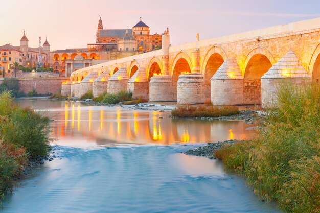 Mezquita et pont romain à Cordoue Espagne