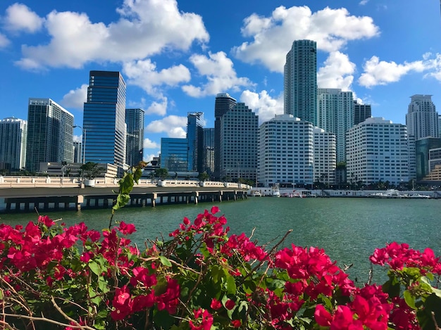 Miami en Floride aux États-Unis