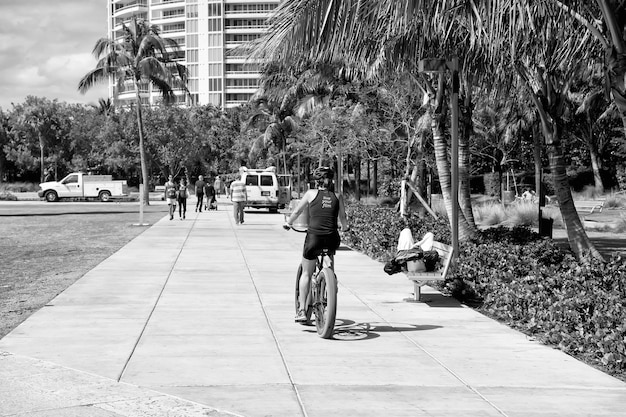 Miami South beach Street avec des palmiers