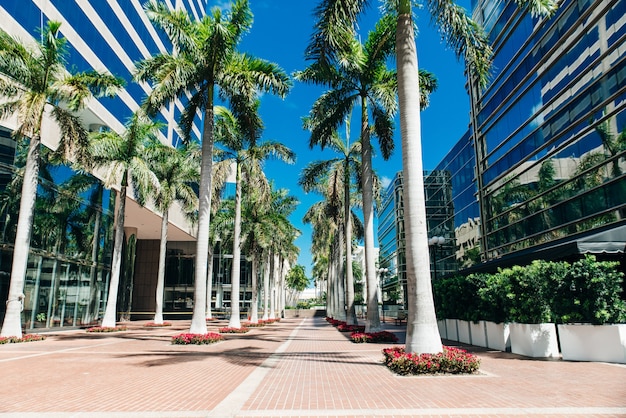 MIAMI, États-Unis - 31 MARS 2020 Rues vides du centre-ville de Miami.