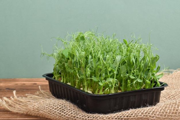 Micro pois verts dans un plateau en plastique noir sur une table en bois avec espace de copie de ciseaux