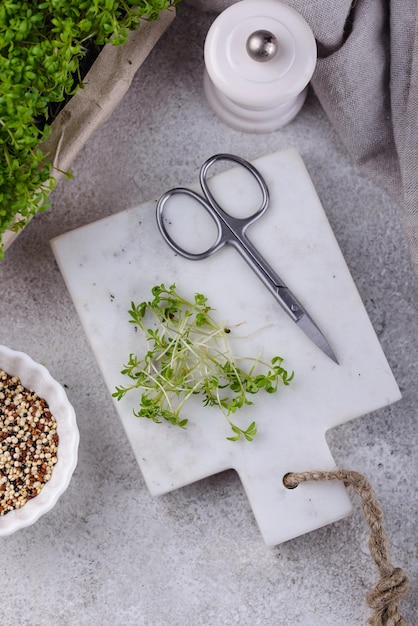 Micro-pousses de salade de pousses de cresson