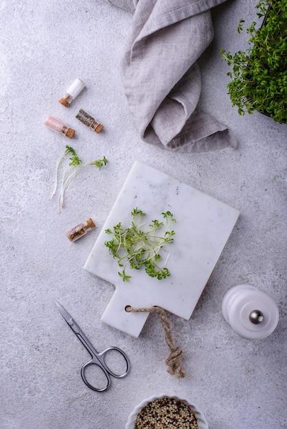 Micro-pousses de salade de pousses de cresson