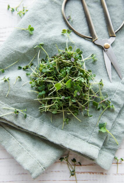 Micro-vert bio frais sur table