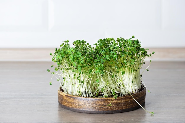 Micro-verts de brocoli dans un bol sur le fond de la cuisine