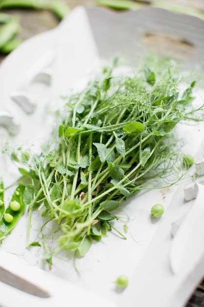 Micro verts frais de pois verts avec des gouttes de rosée sur un plateau vintage en bois