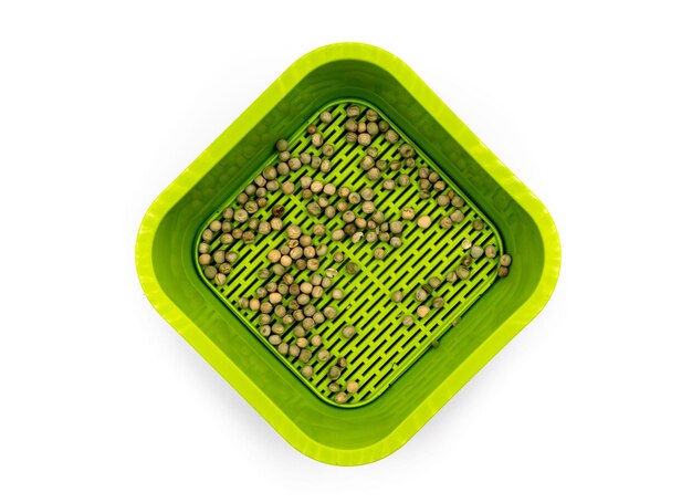 Des micro-verts de pois radis et de cresson dans des récipients noirs poussent des micro-verts à la maison pour la croissance des micro-verts Photo de haute qualité