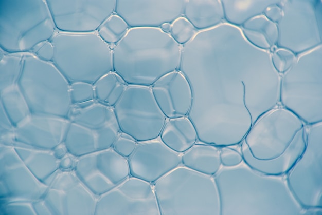 Micrographie de fluide chimique mousseux. La chaîne de composés de microparticules