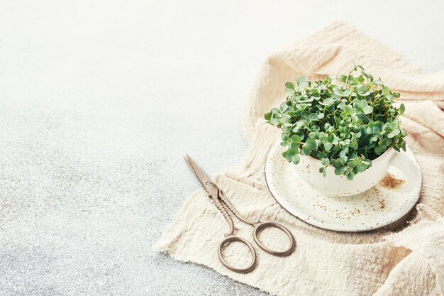 Photo microgreens biologiques frais dans une tasse en céramique blanche alimentation saine et végétalienne