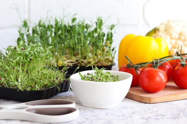 Microgreens de coriandre fraîchement coupés, tomates cerises, poivrons doux et chou-fleur sur la table