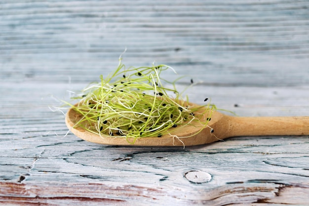 Microgreens germes d'oignon frais sur un fond en bois plantes biologiques pour la salade nourriture saine