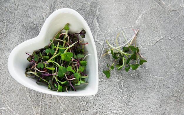 Microgreens de radis rouge sur une table en béton, concept sain