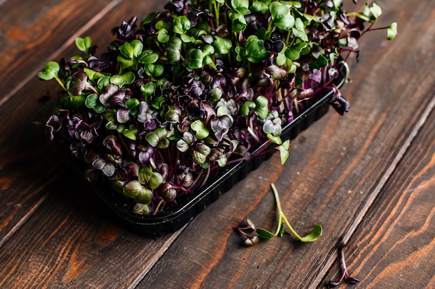 Microgreens de radis sur une table en bois