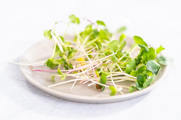 Microgreens