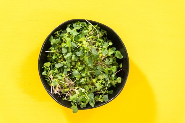 Microgreens