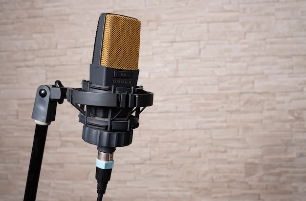 Microphone Professionnel De Dernière Génération