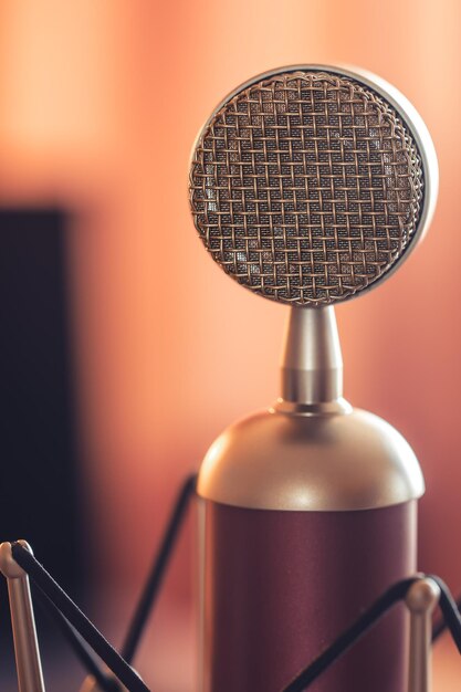 Microphone professionnel pour l'enregistrement sonore de la macrophotographie