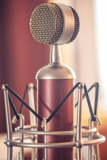 Microphone professionnel pour l'enregistrement sonore de la macrophotographie