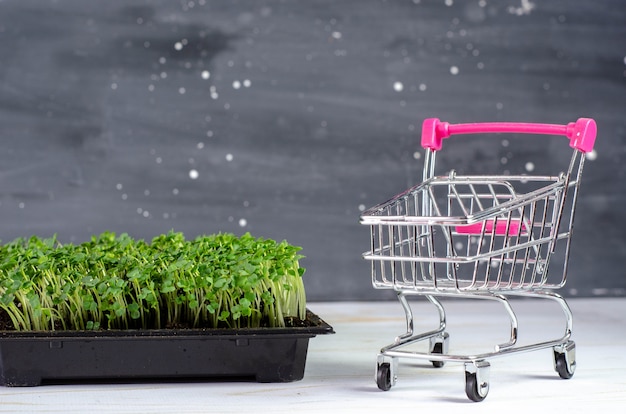 Micropousses fraîches dans la petite boîte et le panier