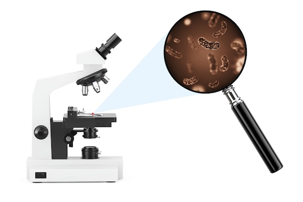 Le microscope de laboratoire moderne explore les bactéries et les virus vus à travers une loupe sur fond blanc. Rendu 3D.