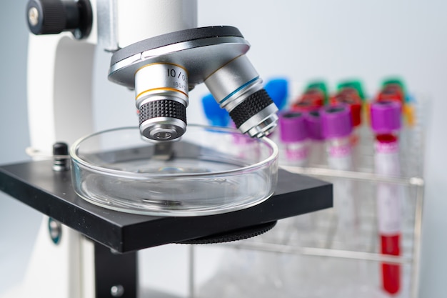 Microscope avec tube à essai de micro recherche biologique en laboratoire.
