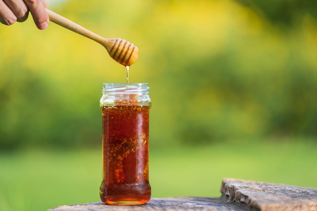 Miel, égouttement, de, miel, louche, sur, naturel