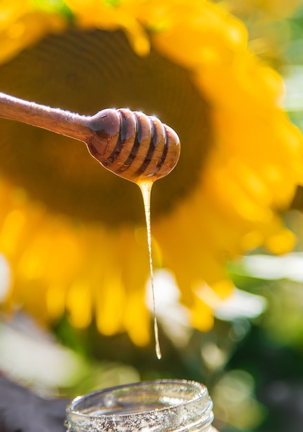 Miel de fleurs de tournesol dans les mains. Mise au point sélective.