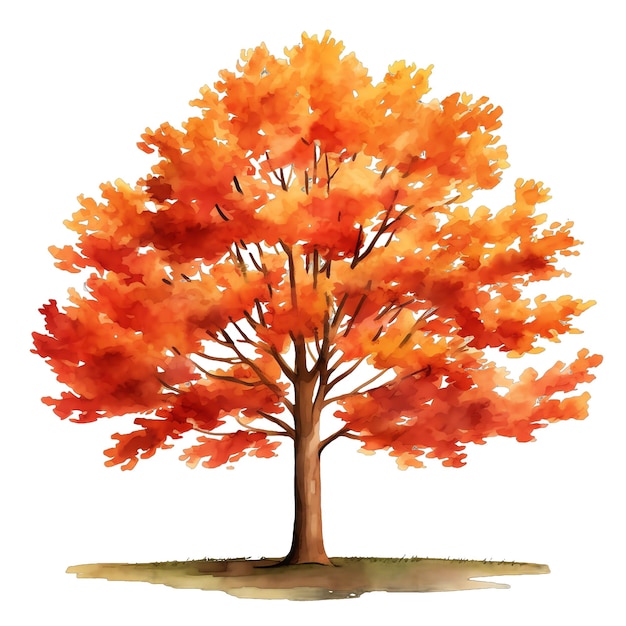 Mignon aquarelle orange rouge automne illustration automne