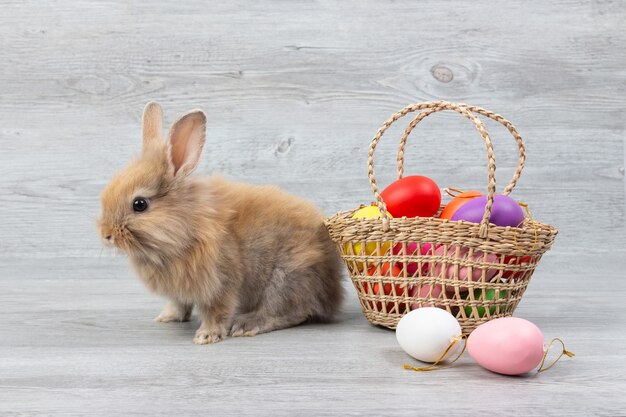 Mignon bébé lapin brun et panier d&#39;oeufs de Pâques colorés sur fond en bois.