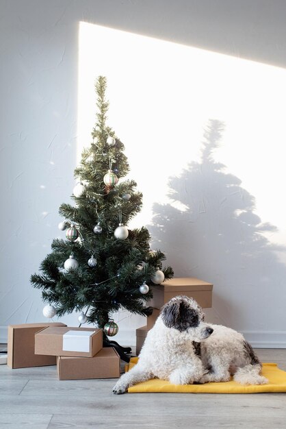 Mignon chien de race mixte allongé à côté de l'arbre de Noël à la maison