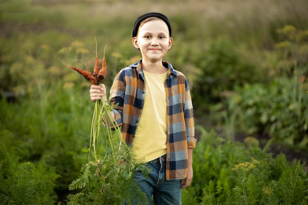 Photo mignon enfant garçon enfant cueillant des carottes biologiques fraîches dans un jardin ou une ferme récoltant des légumes agriculture entreprise locale et concept d'aliments sains