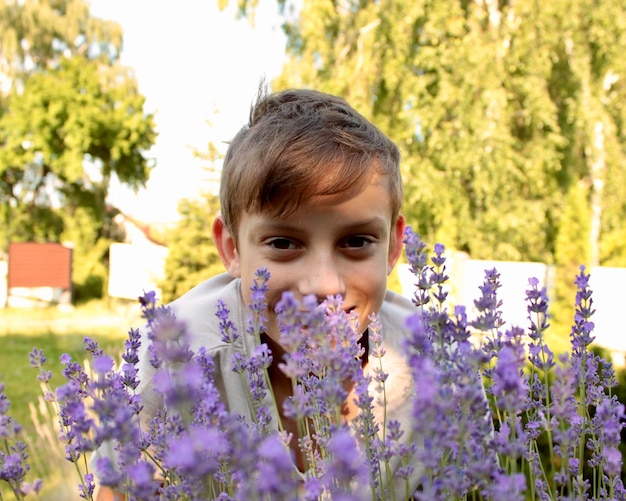 un mignon garçon de douze ans en fleurs de lavande violette à la lumière du soleil se sentant heureux s'amusant