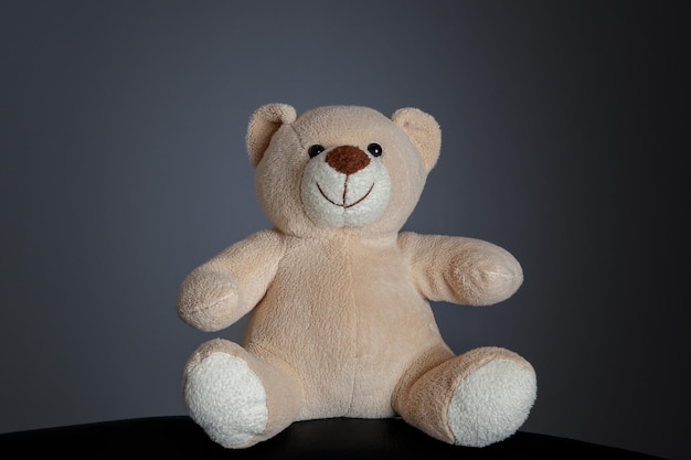 mignon ours en peluche est assis et sourit