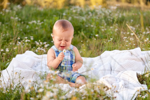 Mignon petit bébé drôle enfant assis dans le champ de camomille