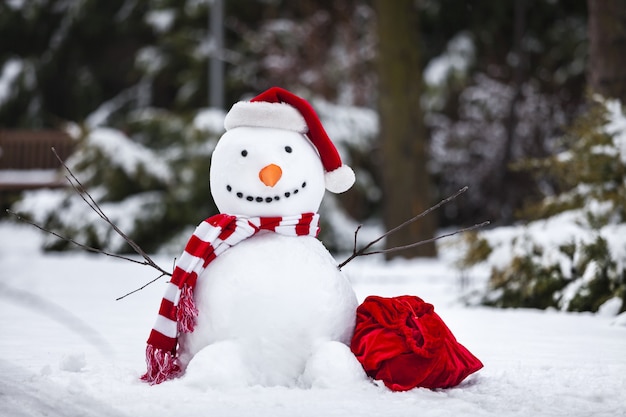 Mignon petit bonhomme de neige en plein air