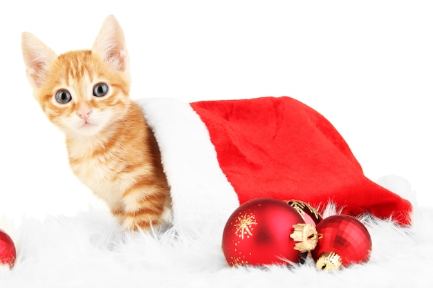 Mignon petit chaton rouge en bonnet de Noel isolé