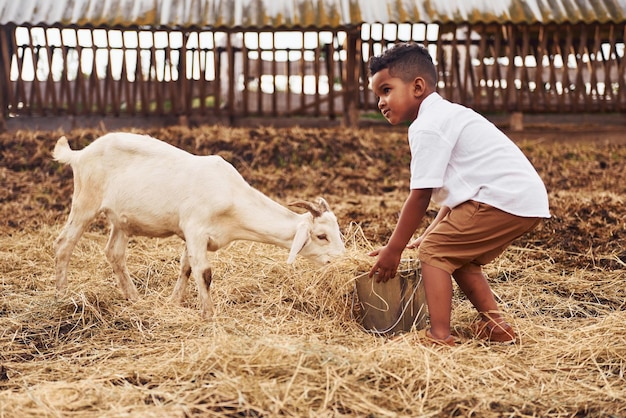 Mignon petit garçon afro-américain est à la ferme en été avec une chèvre