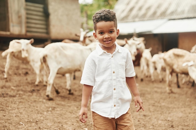 Mignon petit garçon afro-américain est à la ferme en été avec des chèvres