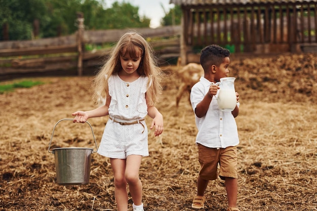 Mignon petit garçon afro-américain avec une fille européenne est à la ferme